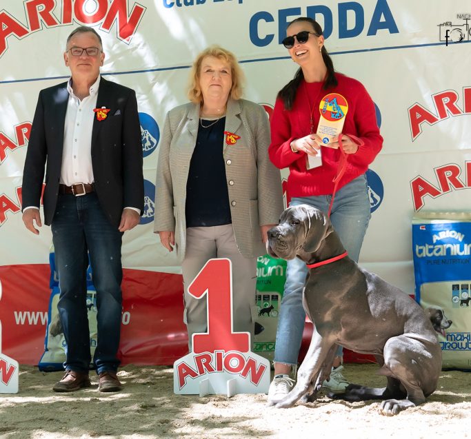 EXPOSICIONES DE DOGOS ALEMANES,RSCE,CEDDA