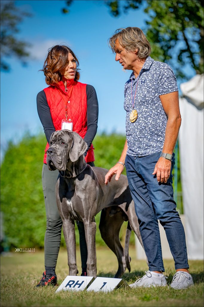 EXPOSICIONES DE DOGOS ALEMANES 